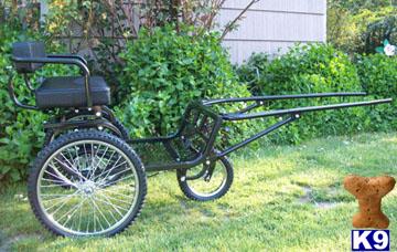 Dog Carts and More