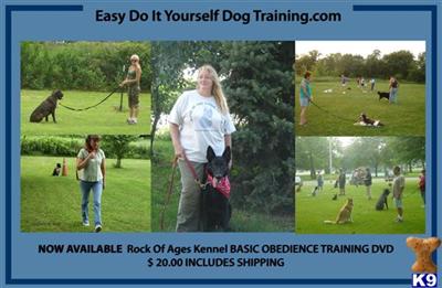 Easy Do It Yourself Dog training DVD