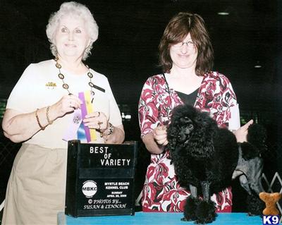 Sherfames Honor of Shiann