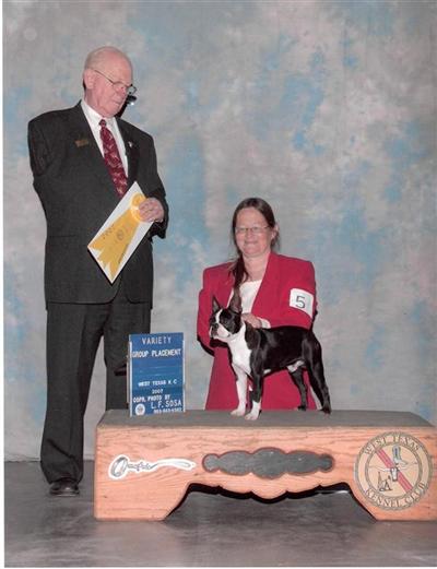 AKC Ch/UKC GRCH Mister Bewitched Rockn Adam