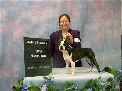 AKC Ch/UKC RBIMS GRCH Mister Bewitched Abner