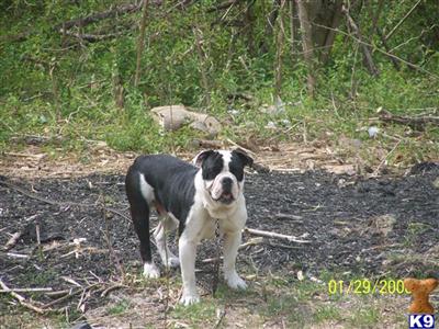 Roscoe