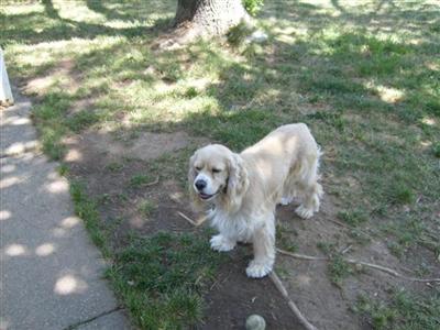 Chester Pu Bybee