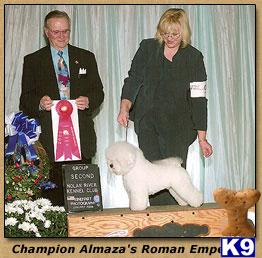AM.CAN.Mex Ch Almazas Roman Emperor
