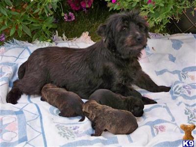 Healthy, Happy, Love Childern, Playful, Clean