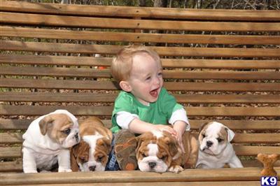 Puppychase Kennels