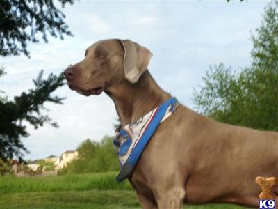 Max