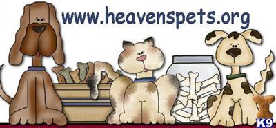 Heavens Pet Accessories