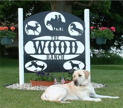 Stud Dogs in WI
