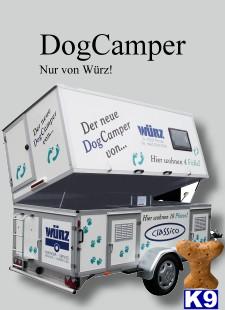 Used Dog Supplies for Sale