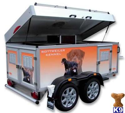 Used Dog Supplies for Sale