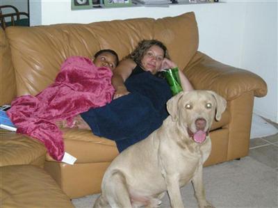 Stud Dogs - Chesapeake Bay Retriever