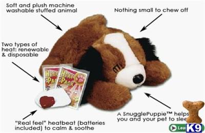 Used Dog Supplies for Sale