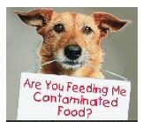 Used Dog Supplies for Sale