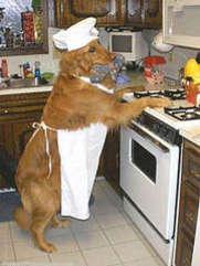 Dogs for Sale