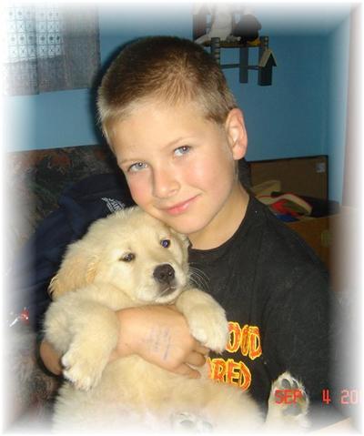 Puppies in WI