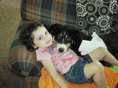 Puppies in GA
