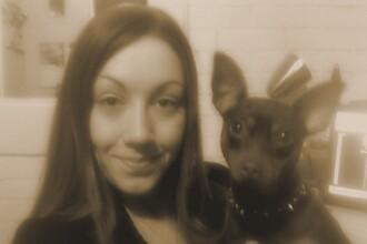 Stud Dogs - Miniature Pinscher