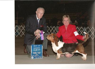 Stud Dogs in AL
