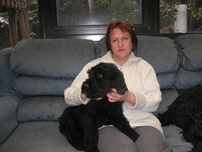 Black Russian Terrier Puppies for Sale
