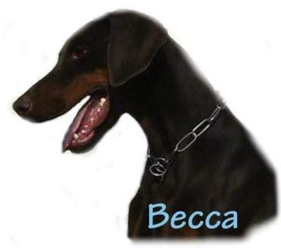 Dogs for Sale in CA