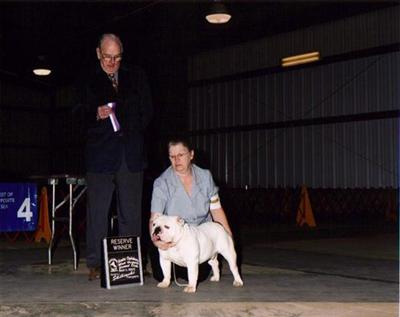 Stud Dogs - Bulldog