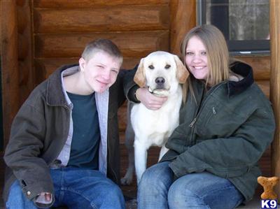 Puppies in WI