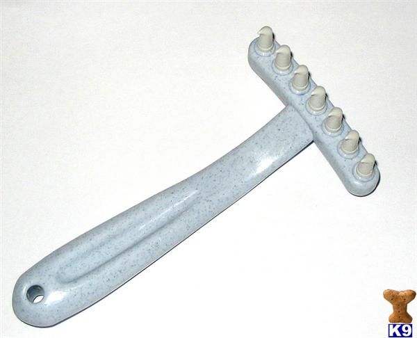Used Dog Supplies for Sale