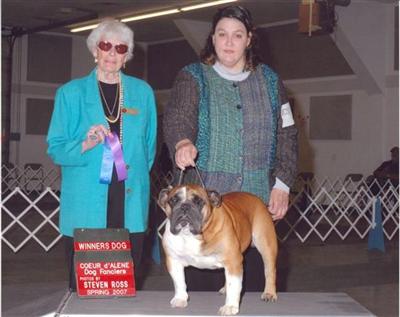 Stud Dogs in ID