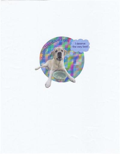 Used Dog Supplies for Sale
