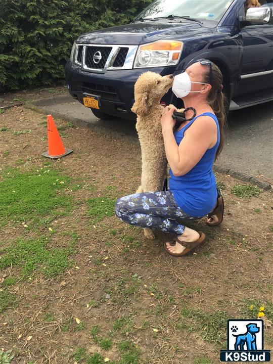 a person kneeling down next to a car holding a cat