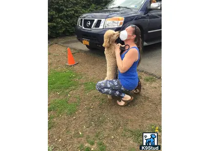 a person kneeling down next to a car holding a cat