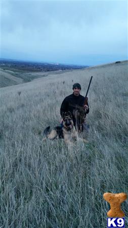 a man holding a gun in a field