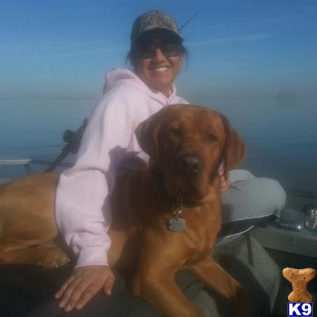 a person sitting on a boat with a labrador retriever dog