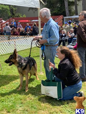 a man and a woman with a german shepherd dog