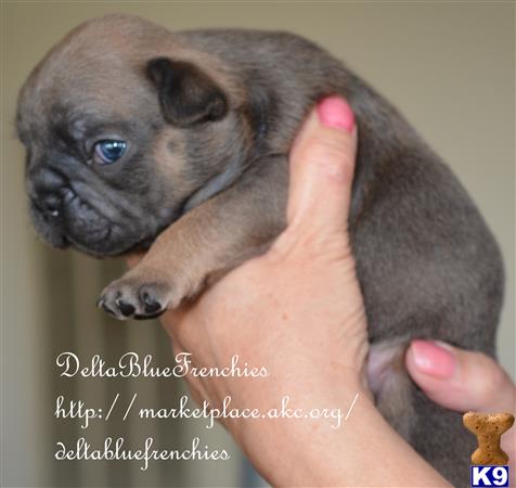 a person holding a small animal