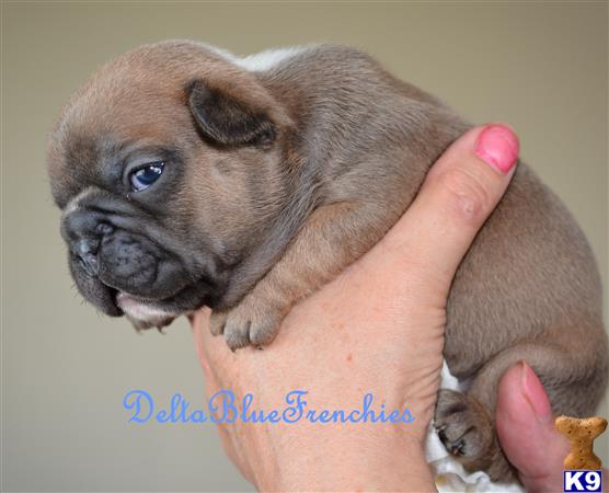 a person holding a small animal