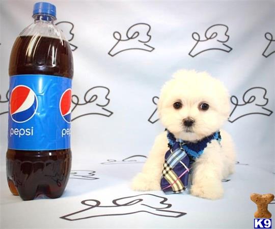 a stuffed animal next to a bottle