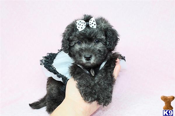 a person holding a stuffed animal