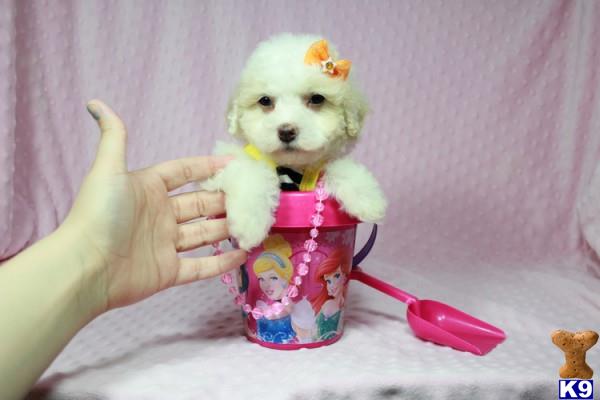 a person holding a stuffed animal