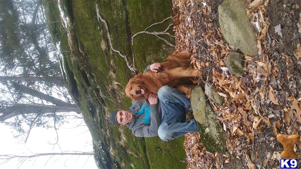 a person and a child in a tree