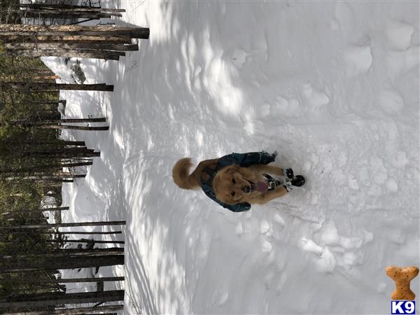 a man in a snowy environment