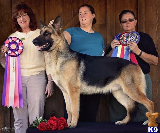 a group of people posing with a german shepherd dog